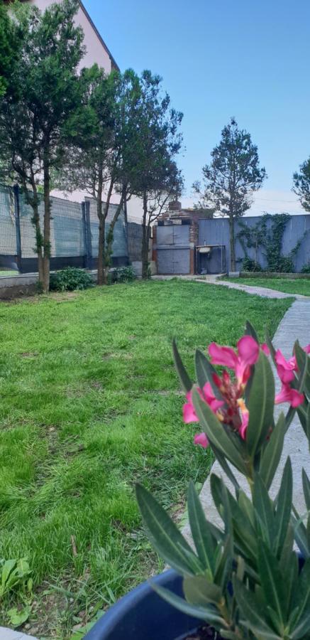Pensiunea Andra Costineşti Exterior foto