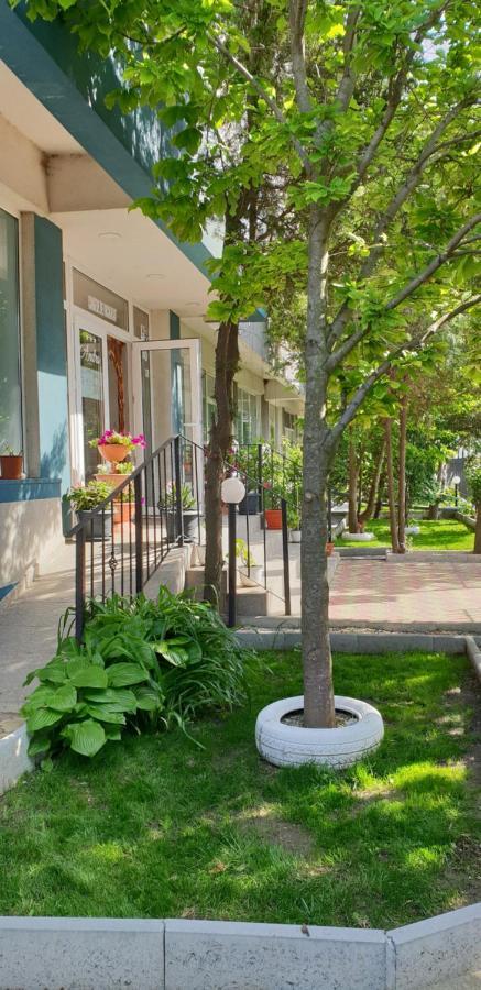 Pensiunea Andra Costineşti Exterior foto
