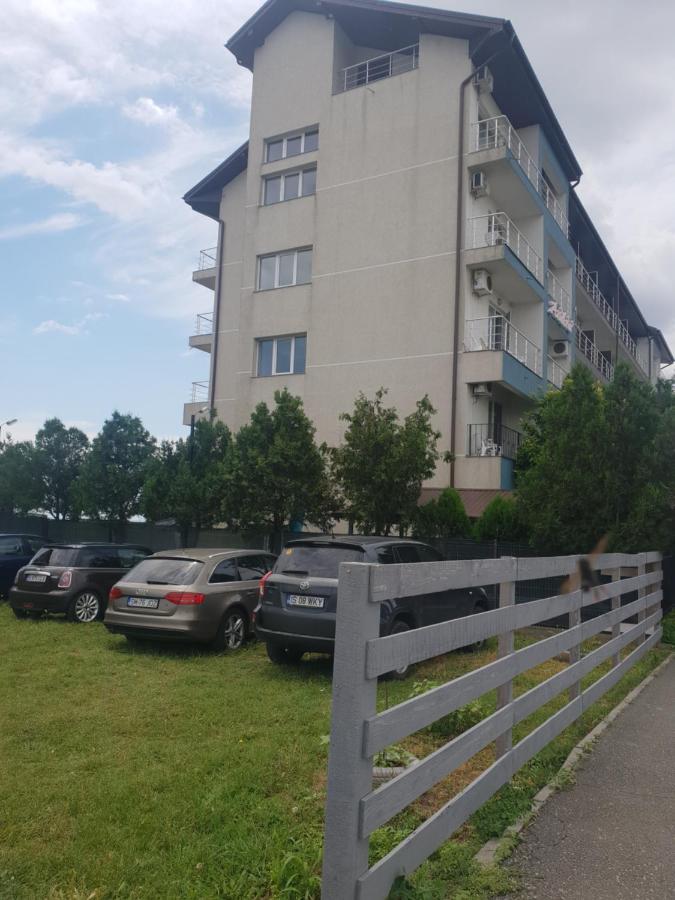 Pensiunea Andra Costineşti Exterior foto